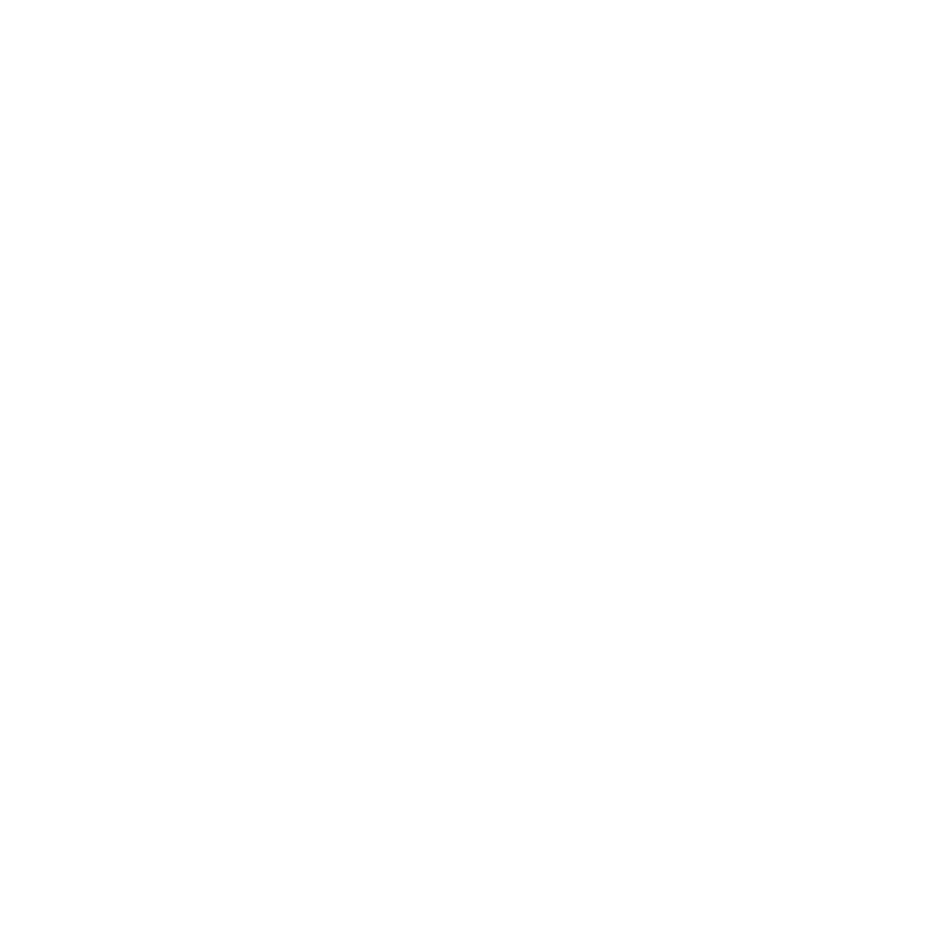Opel Service