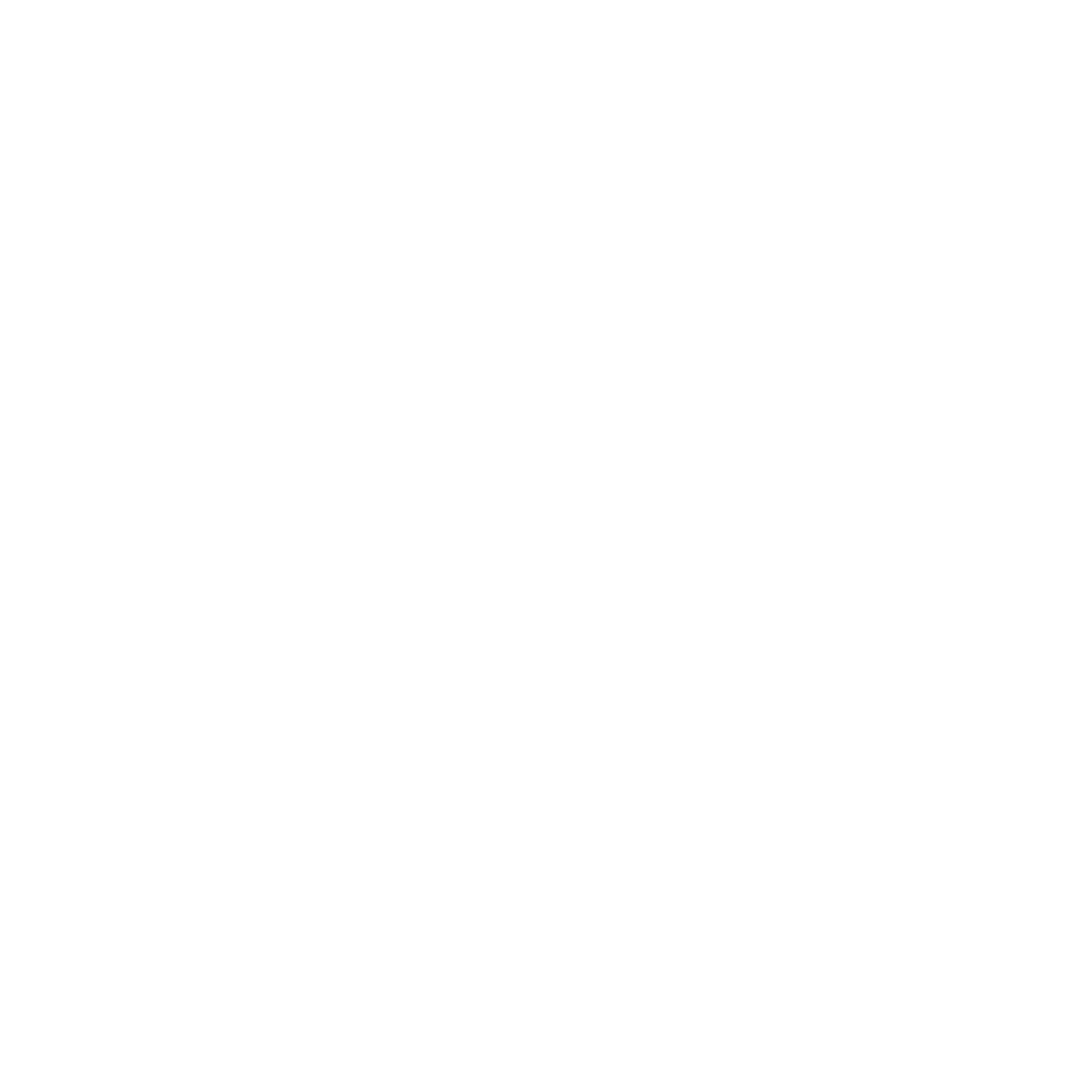 Škoda Service