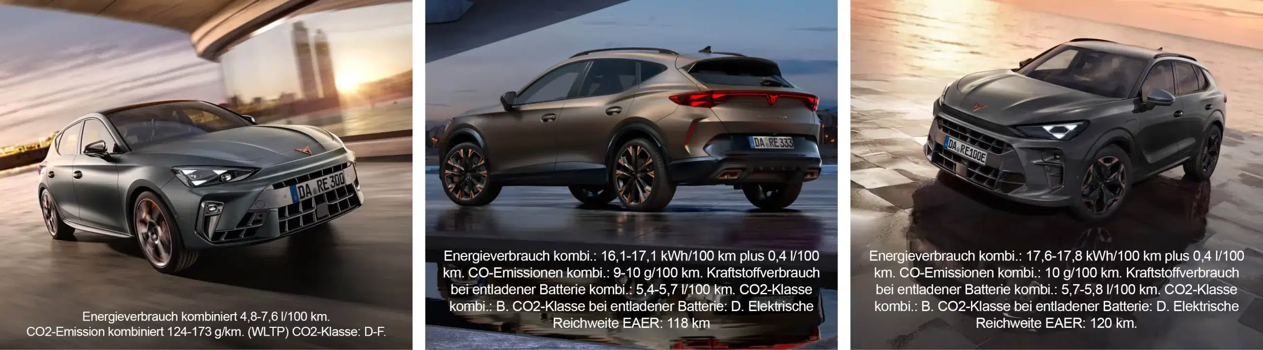 Bilderleiste Cupra scaled