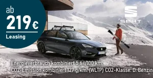 Kacheln Seat Leon