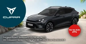 Kacheln HoppSchnei