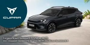 Kacheln HoppSchnei Kopie