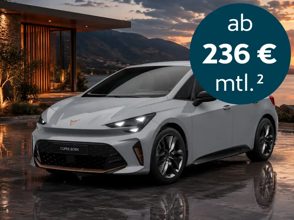 CUPRA Born Endurance 170 kW (231 PS) 79 kWh 3 Born endurance 236 E