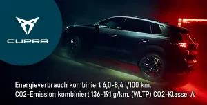 Kachel Terramar 1