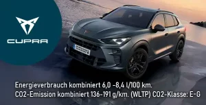 Kachel Terramar