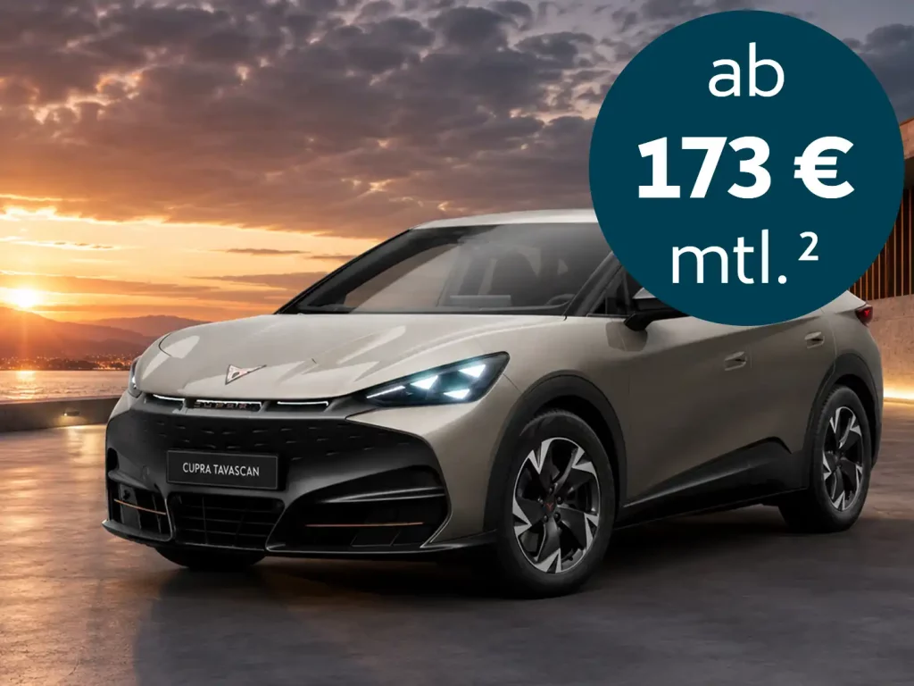 Tavascan 140 kW (190 PS) 58 kWh 2 Tavacan 173 E