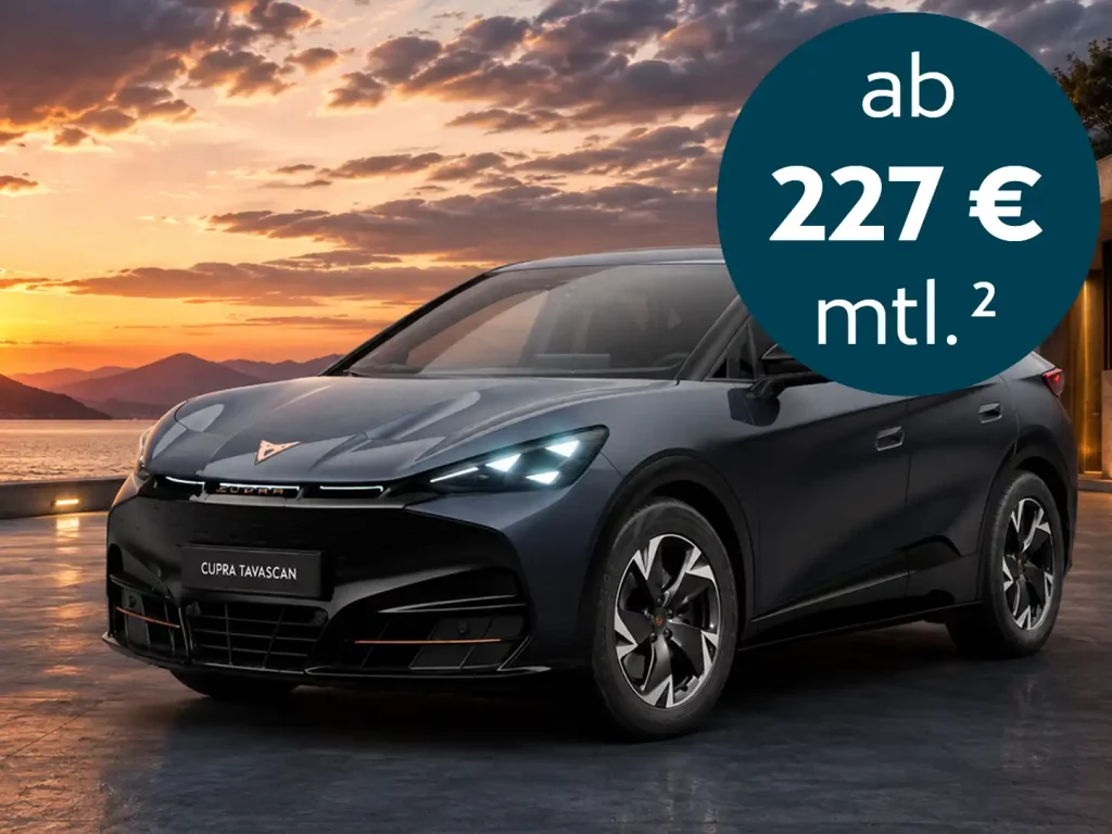 Tavascan Endurance 210 kW (286 PS) 77 kWh 3 Tavacan Endurance 227 E